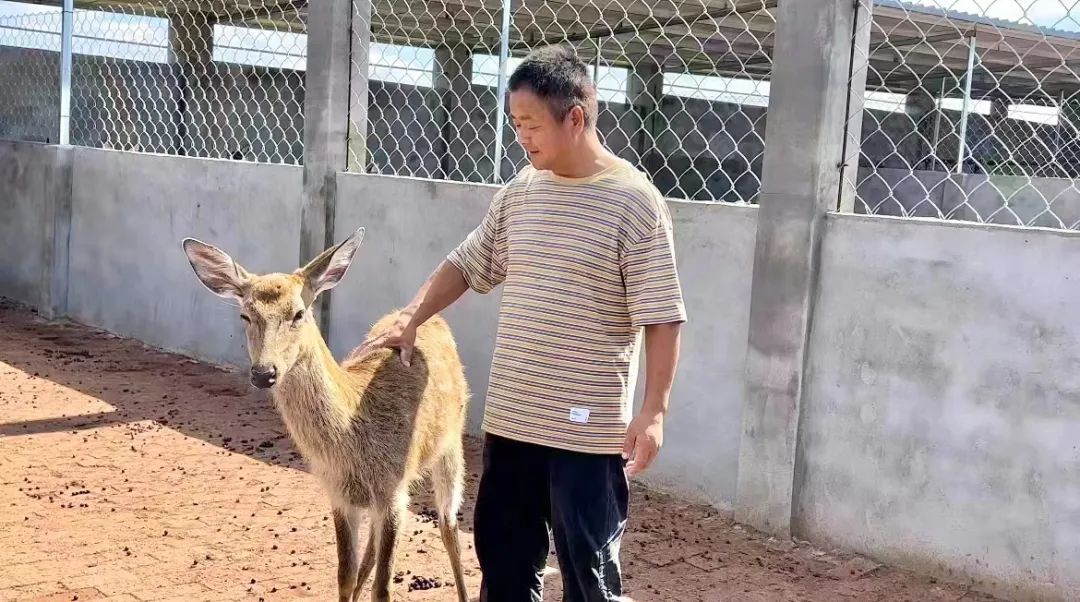 投币老虎机 奔驰宝马